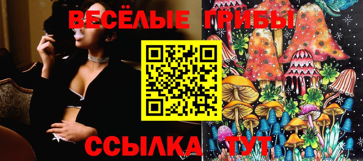 цены   Галлюциногенные грибы MAGIC MUSHROOMS  Псилоцибиновые грибы Psilocybine cubensis  Вход с VPN  Богданович 
